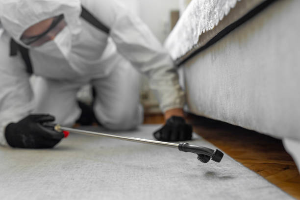 Professional Mosquito Control technician working in Alexandria Bay, NY
