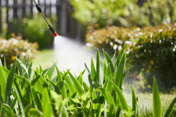 24/7 Emergency Mosquito Control experts in Alexandria Bay, NY