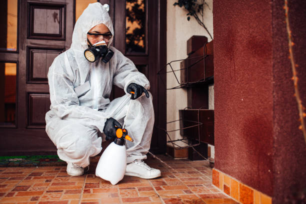 Reliable Mosquito Control contractor in Alexandria Bay, NY by Nex Pest Control
